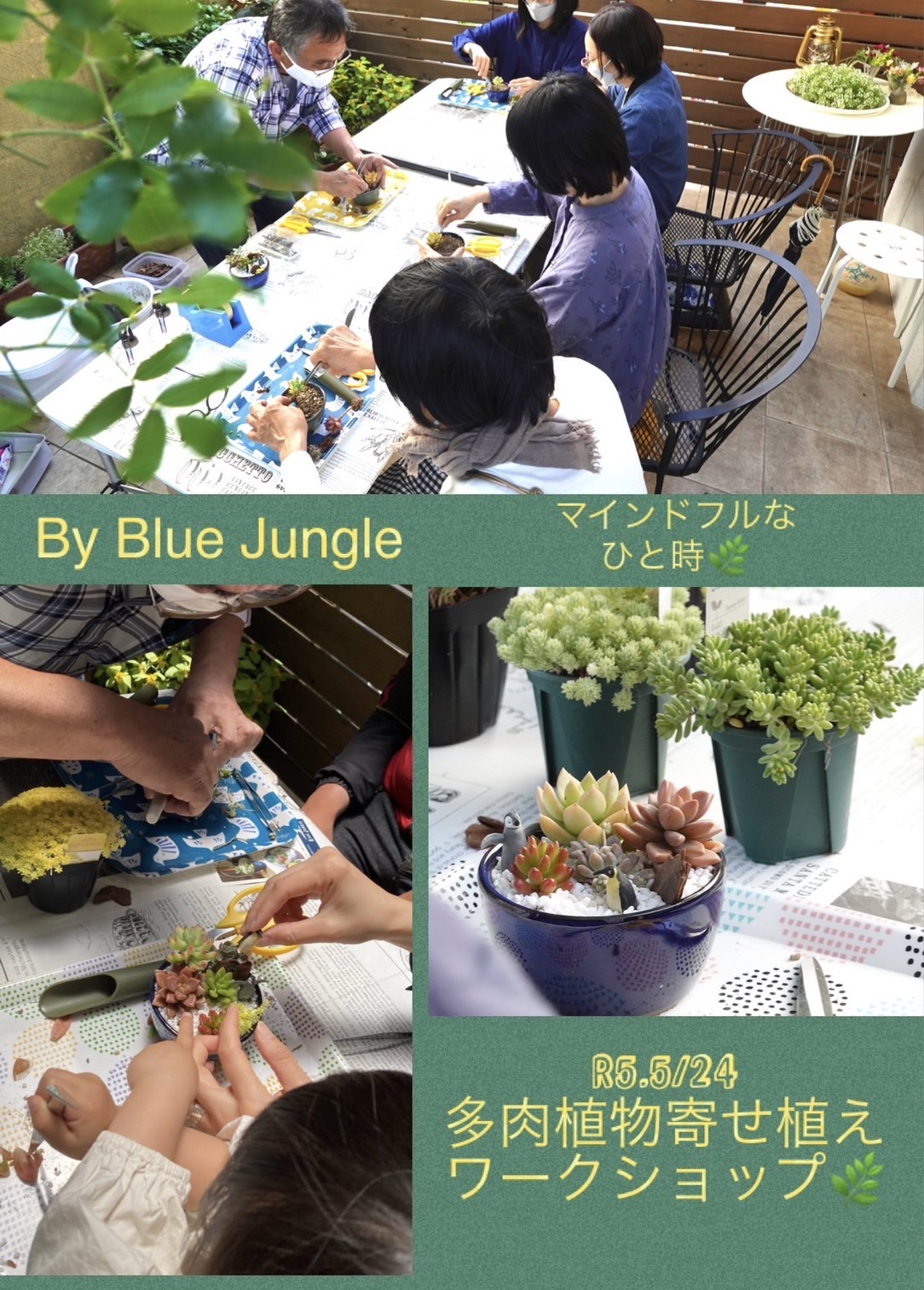 Blue Jungle さんの多肉植物寄せ植えワークショップ🌿画像