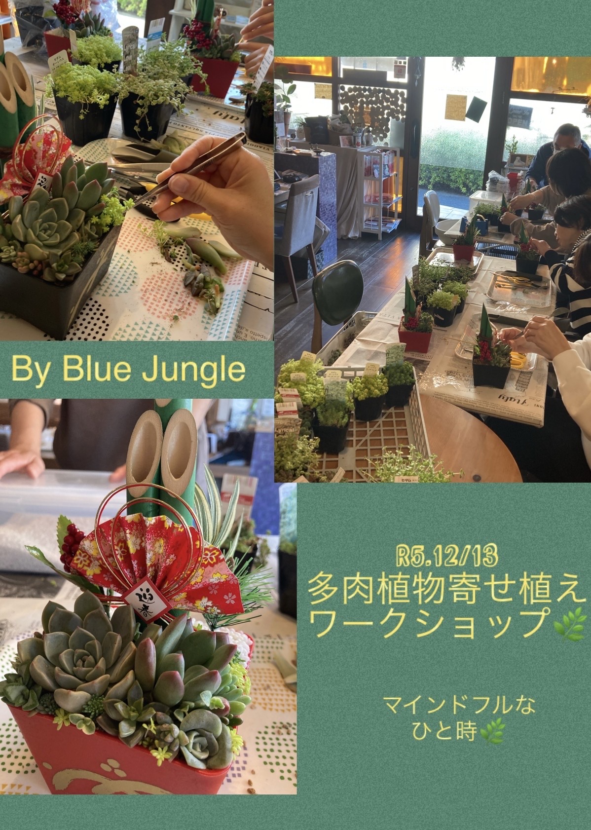 Blue Jungle さんの多肉植物寄せ植えワークショップ画像